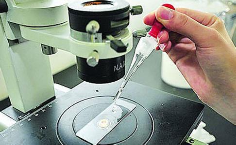 二維色譜、基因測(cè)序儀等儀器項(xiàng)目獲豫科技發(fā)展專(zhuān)項(xiàng)資金支持